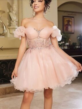 Pink Off-Shoulder Embellished Tulle Party Dress